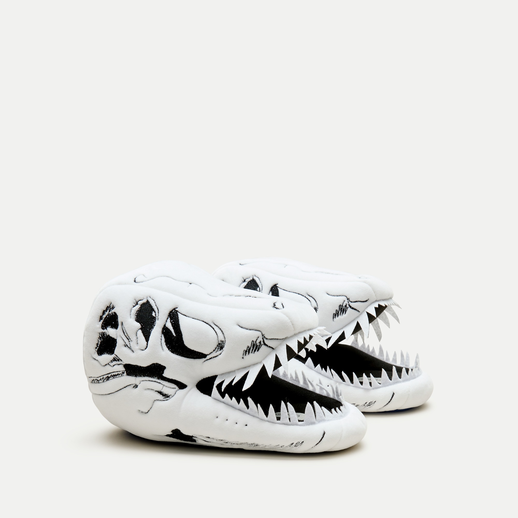American Museum of Natural History for J.Crew kids' dinosaur slippers