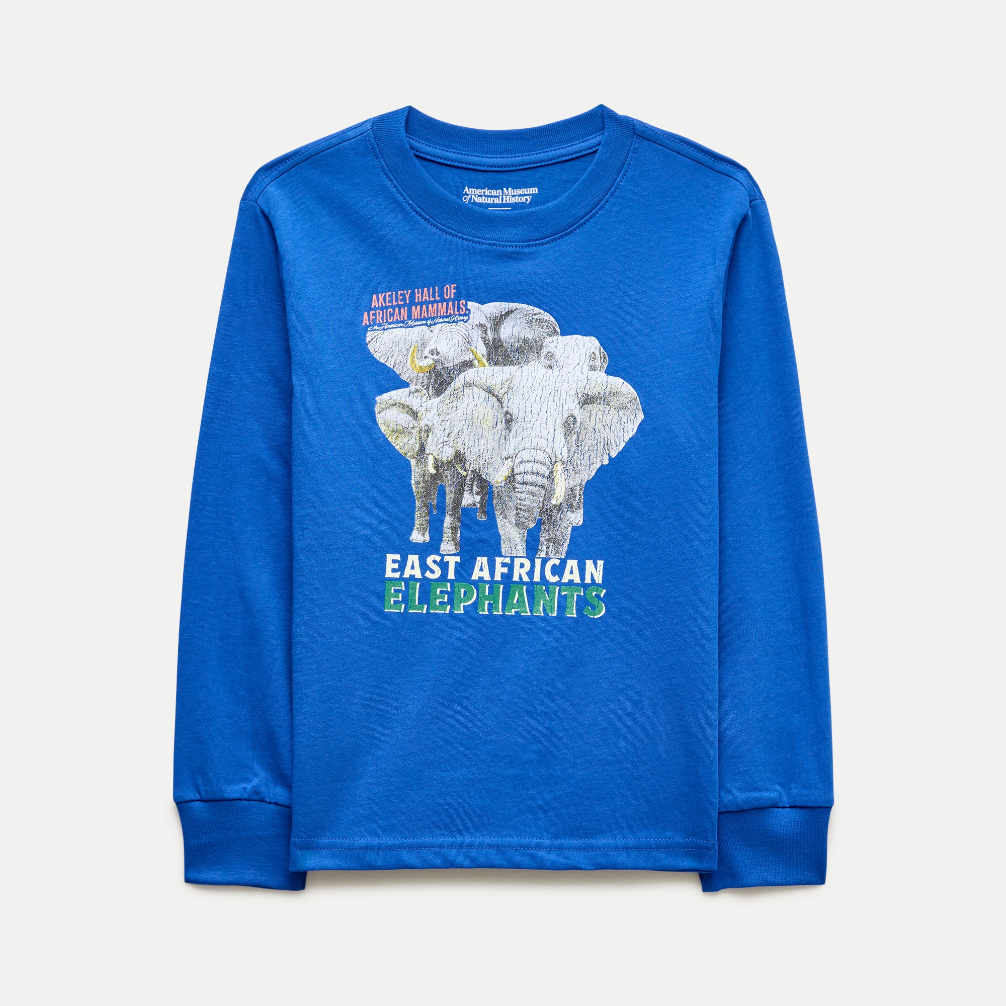 American Museum of Natural History for J.Crew kids' "East African Elephants" graphic T-shirt