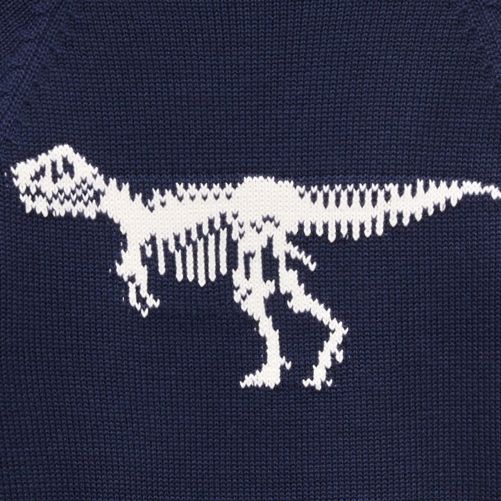 American Museum of Natural History for J.Crew kids' dinosaur intarsia Rollneck&trade; sweater NAVY DINO MULTI