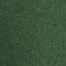 Limited-edition 1989 anorak CHAMPIONSHIP GREEN