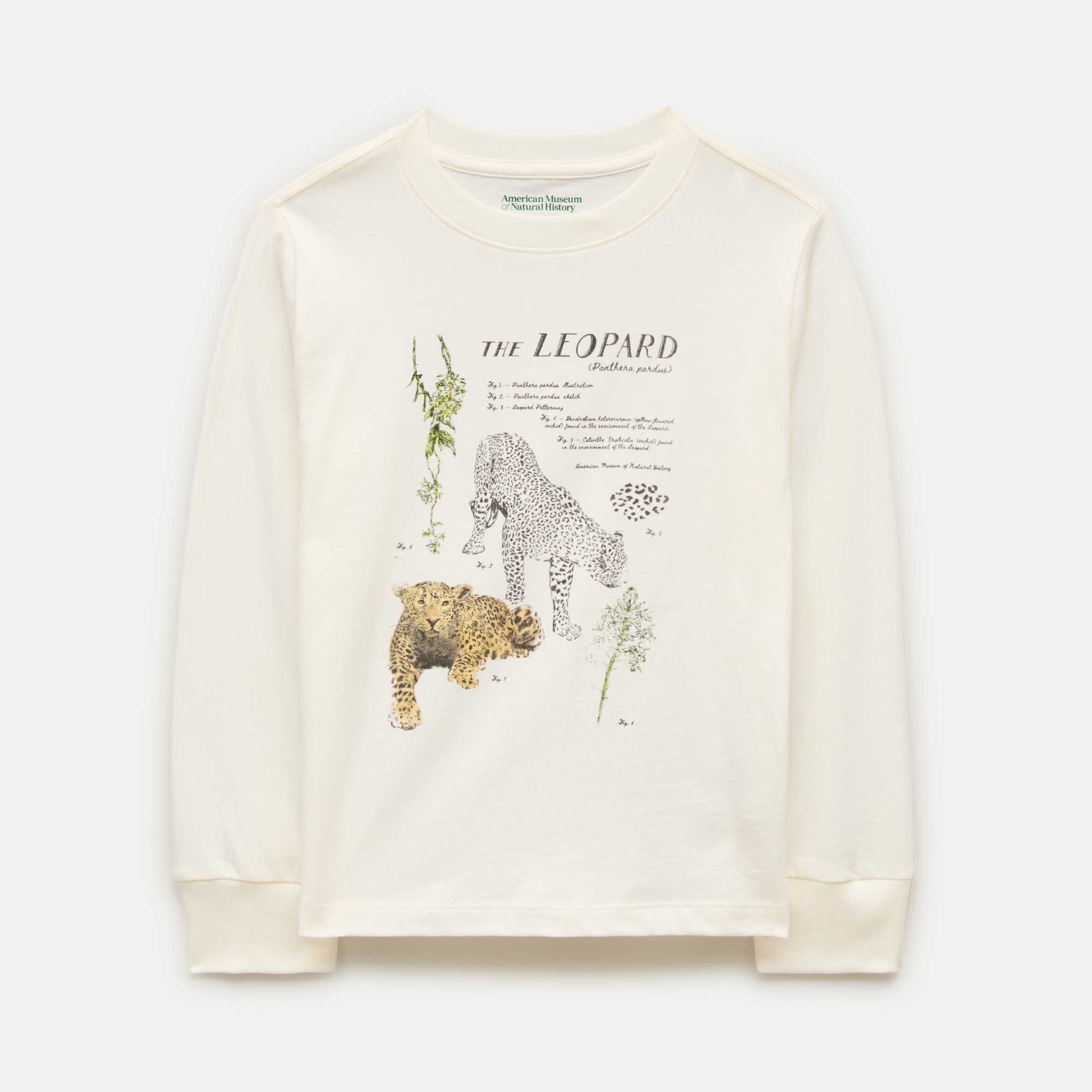 American Museum of Natural History for J.Crew kids' leopard graphic T-shirt