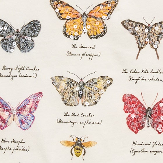 American Museum of Natural History for J.Crew kids' butterfly graphic T-shirt BUTTERFLIES AND INSECT