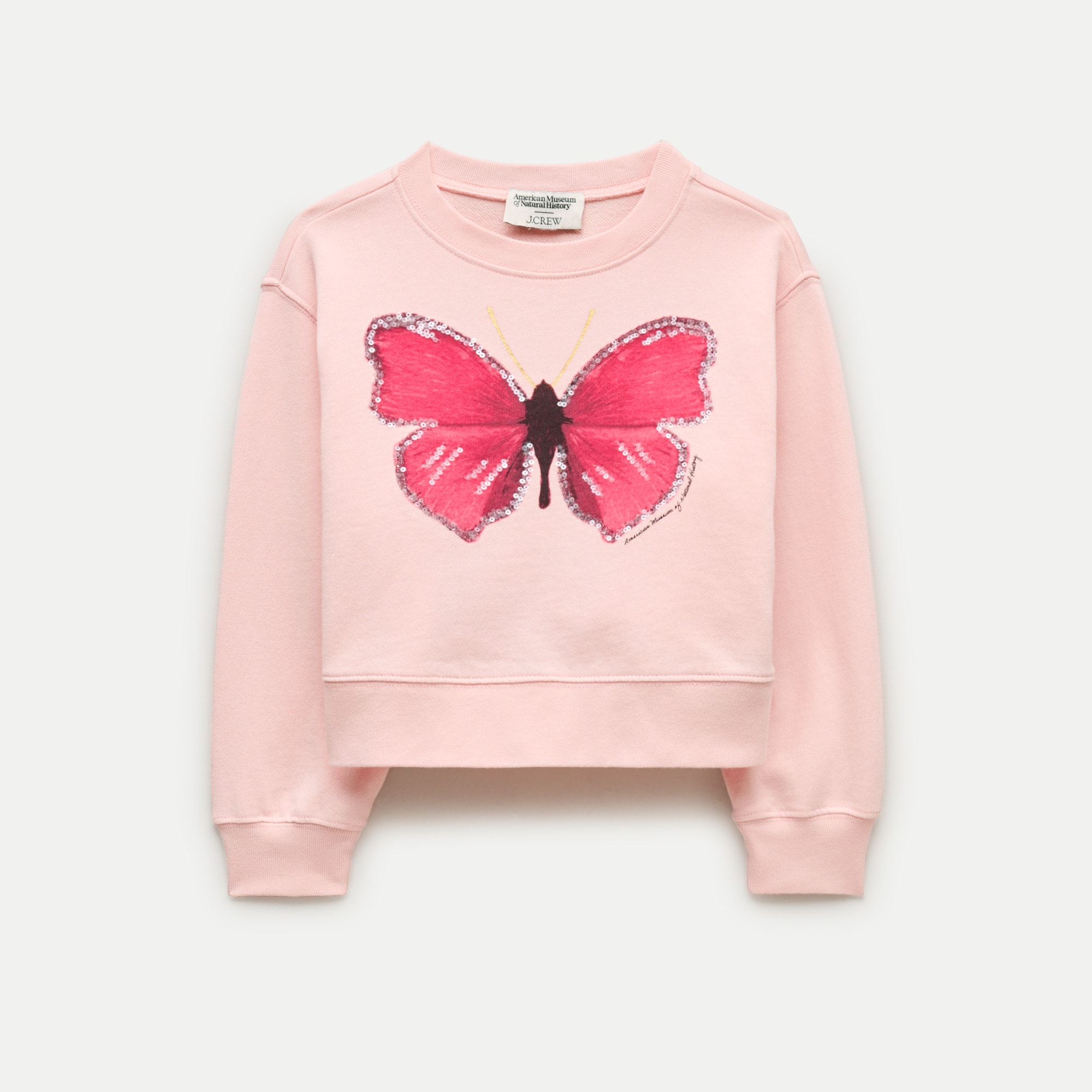 American Museum of Natural History for J.Crew kids' butterfly graphic sweatshirt