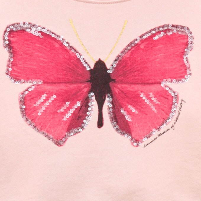 American Museum of Natural History for J.Crew kids' butterfly graphic sweatshirt RED BUTTERFLY MULTI