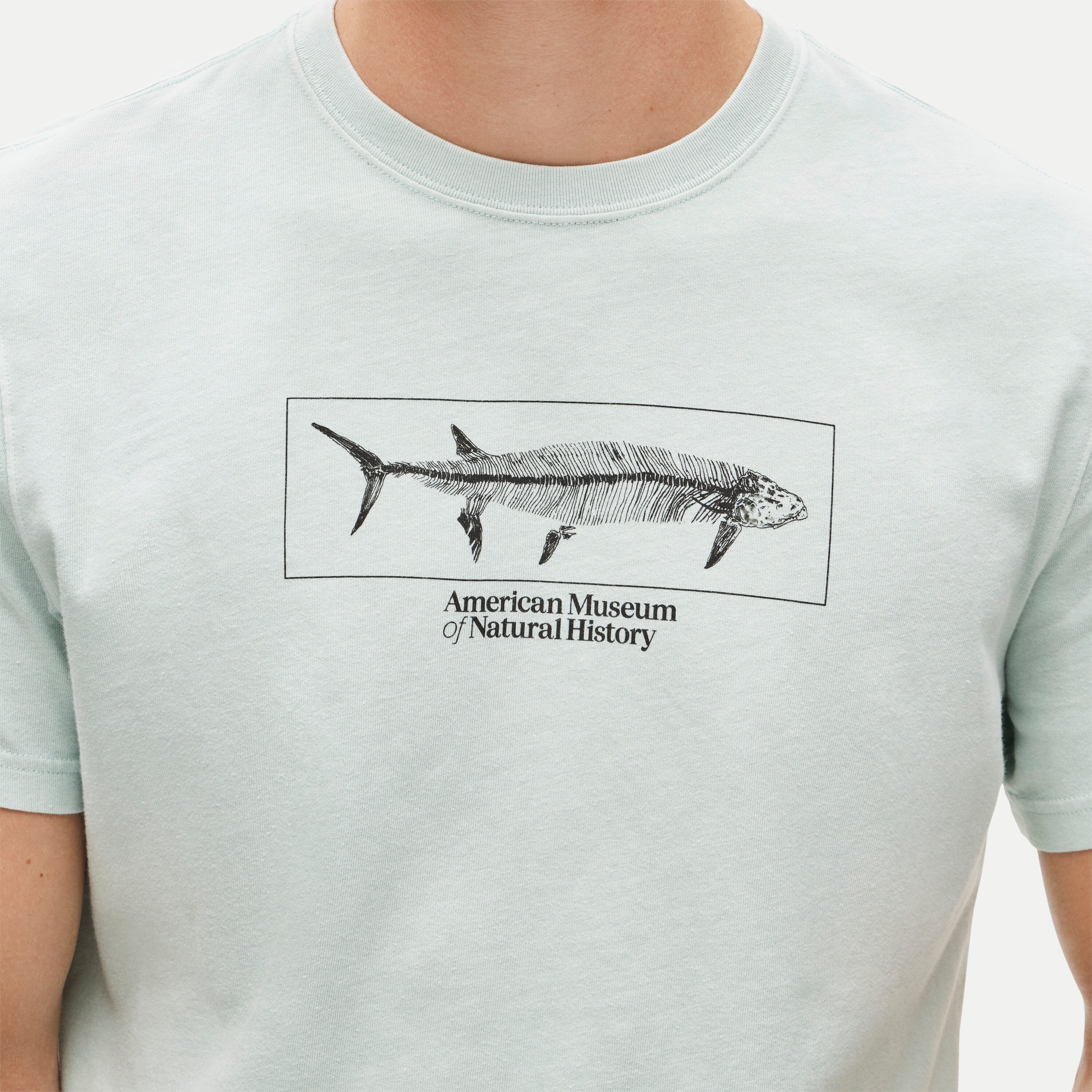 American Museum of Natural History for J.Crew graphic vintage-wash T-shirt