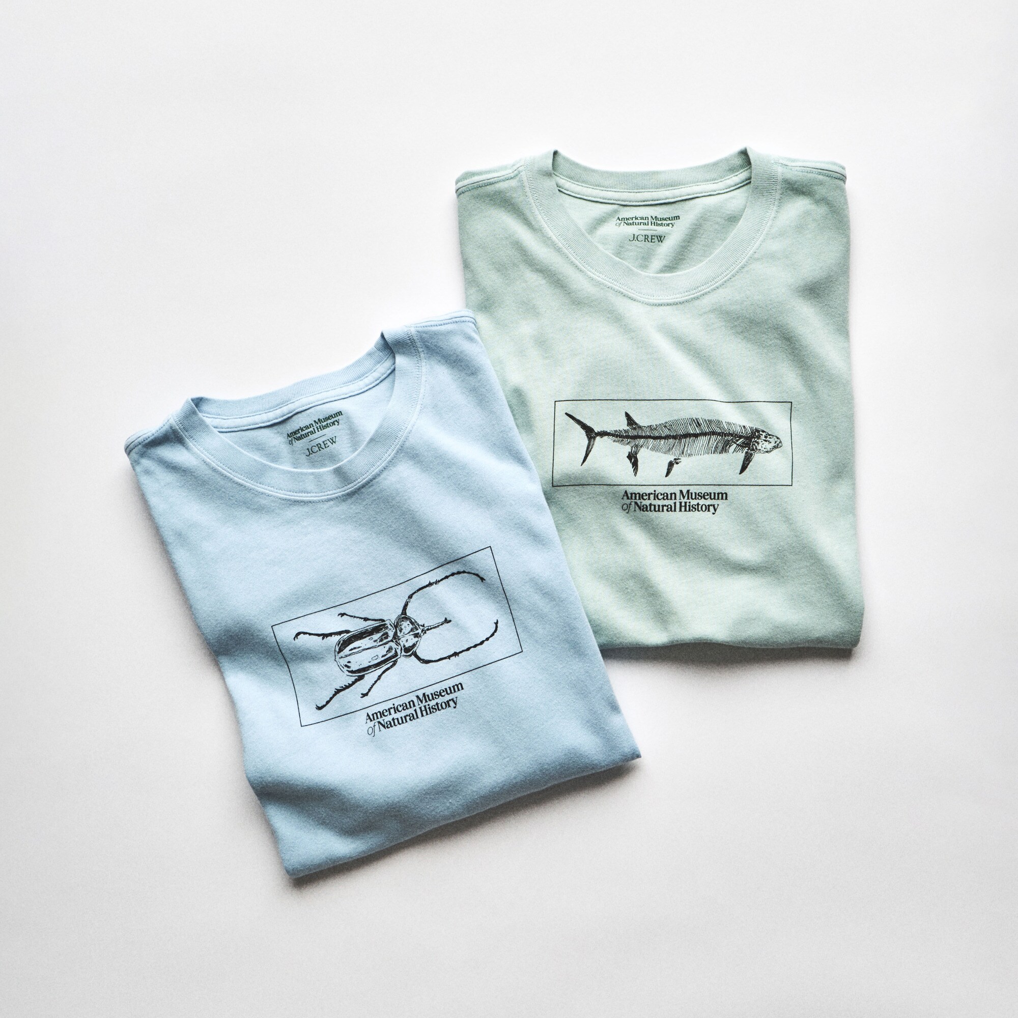 American Museum of Natural History for J.Crew graphic vintage-wash T-shirt