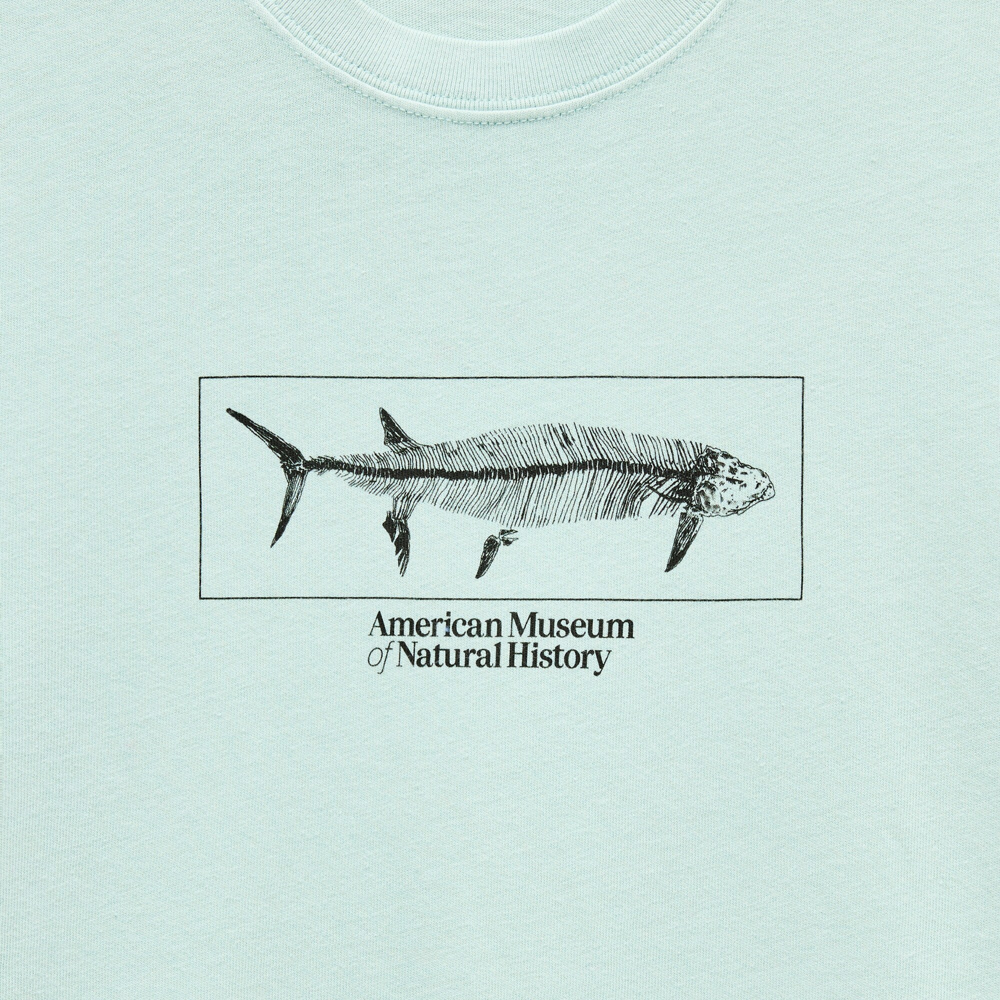 American Museum of Natural History for J.Crew graphic vintage-wash T-shirt