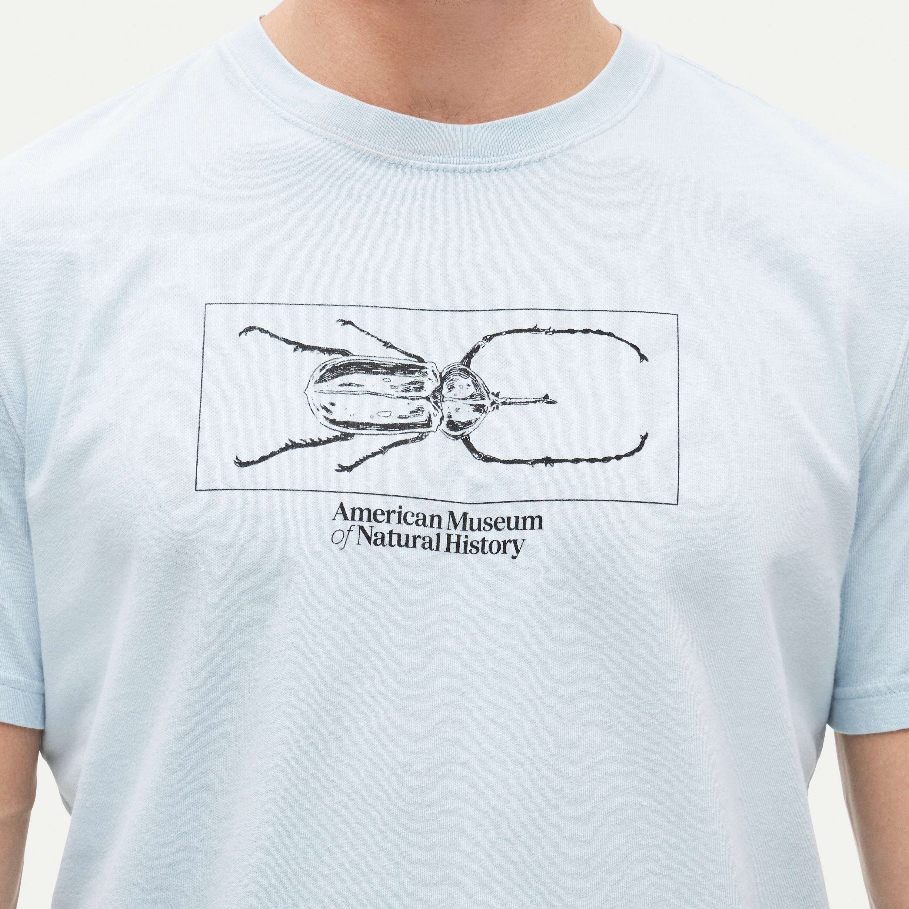 American Museum of Natural History for J.Crew graphic vintage-wash T-shirt