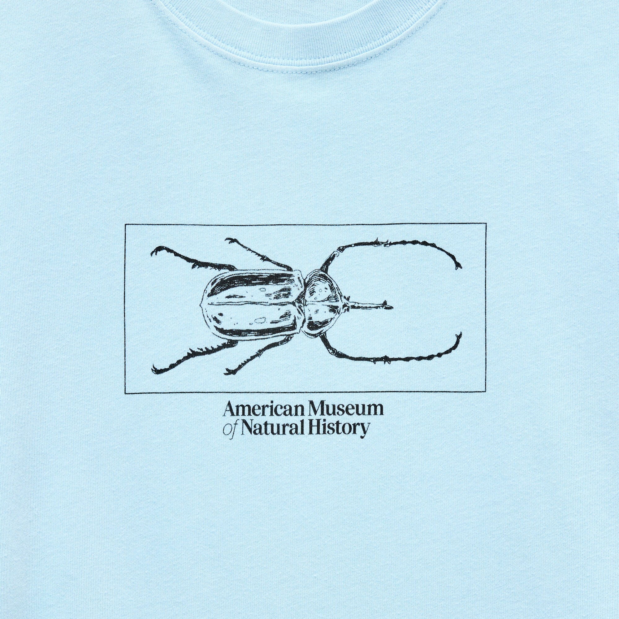 American Museum of Natural History for J.Crew graphic vintage-wash T-shirt