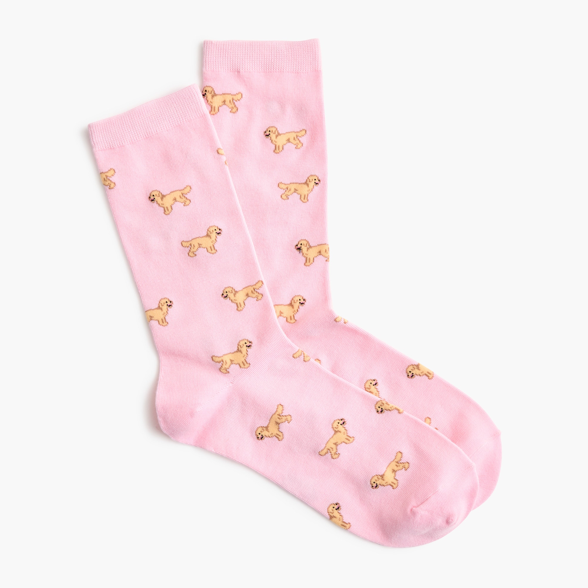 Golden retriever dog trouser socks