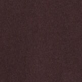 100% brushed cotton tissue turtleneck COCOA BERRY