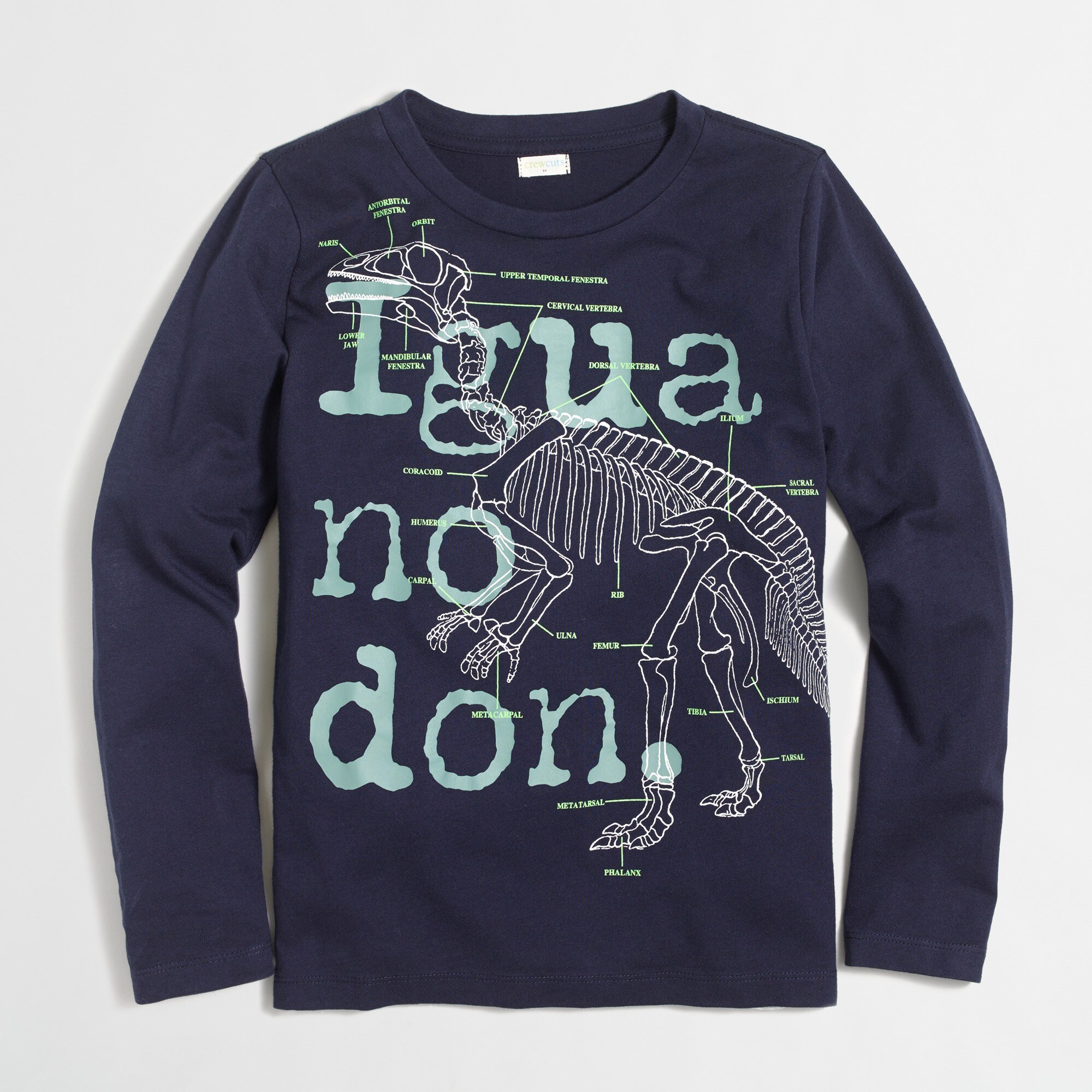 Boys' long-sleeve glow-in-the-dark Iguanodon graphic tee