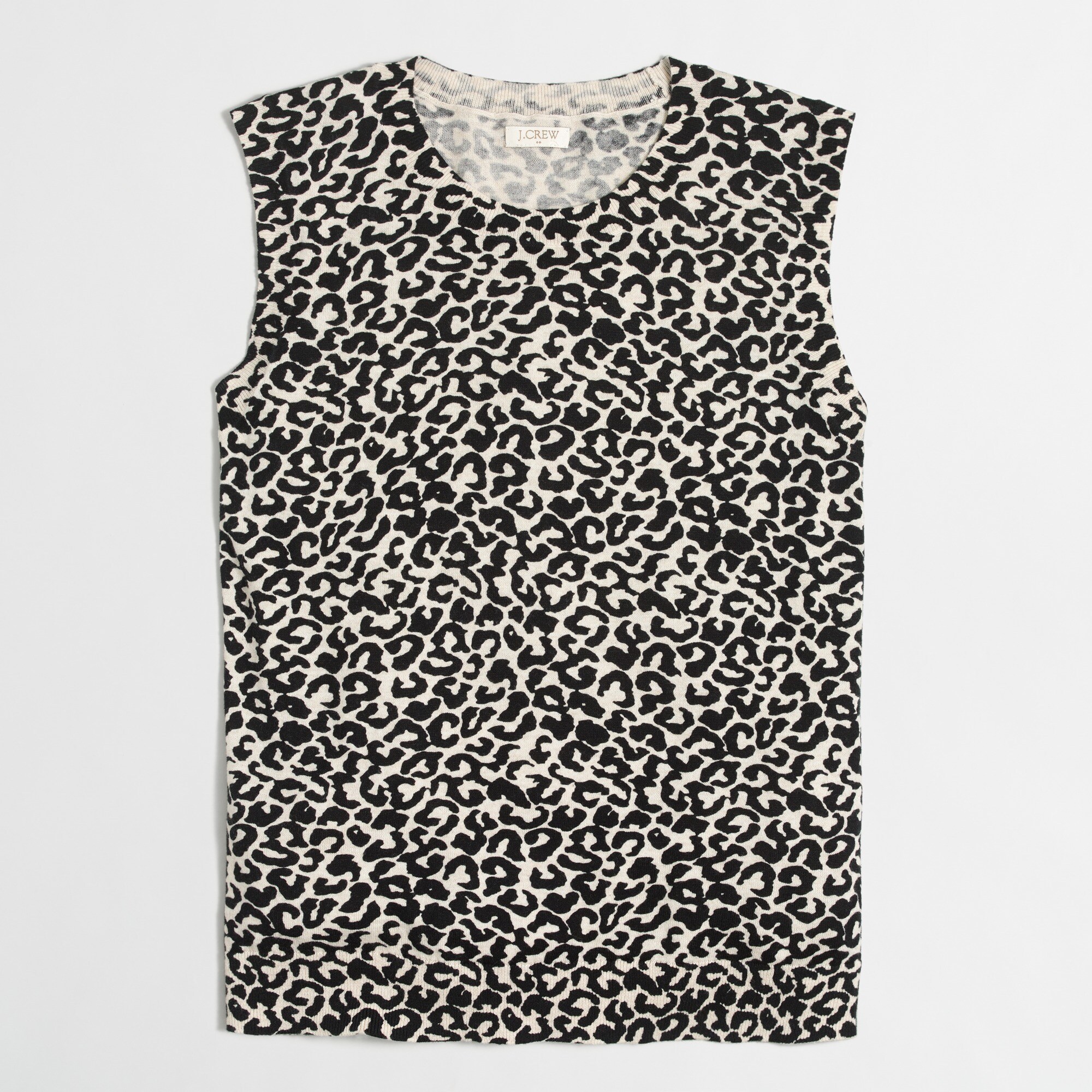 Leopard Caryn shell