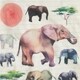 J.Crew for David Sheldrick Wildlife Trust elephant T-shirt IVORY j.crew: j.crew for david sheldrick wildlife trust elephant t-shirt for women