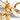 Enamel chain tassel bracelet WHITE j.crew: enamel chain tassel bracelet for women