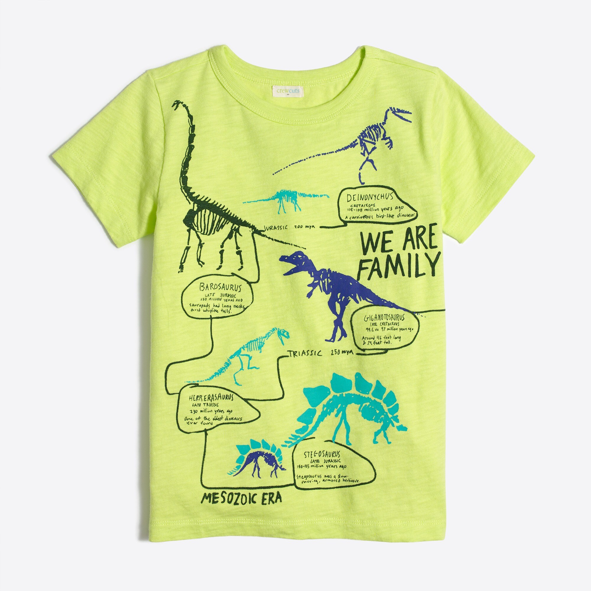 boys' glow-in-the-dark dino timeline graphic tee for boys