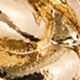 Golden knot stud earrings GOLD factory: golden knot stud earrings for women