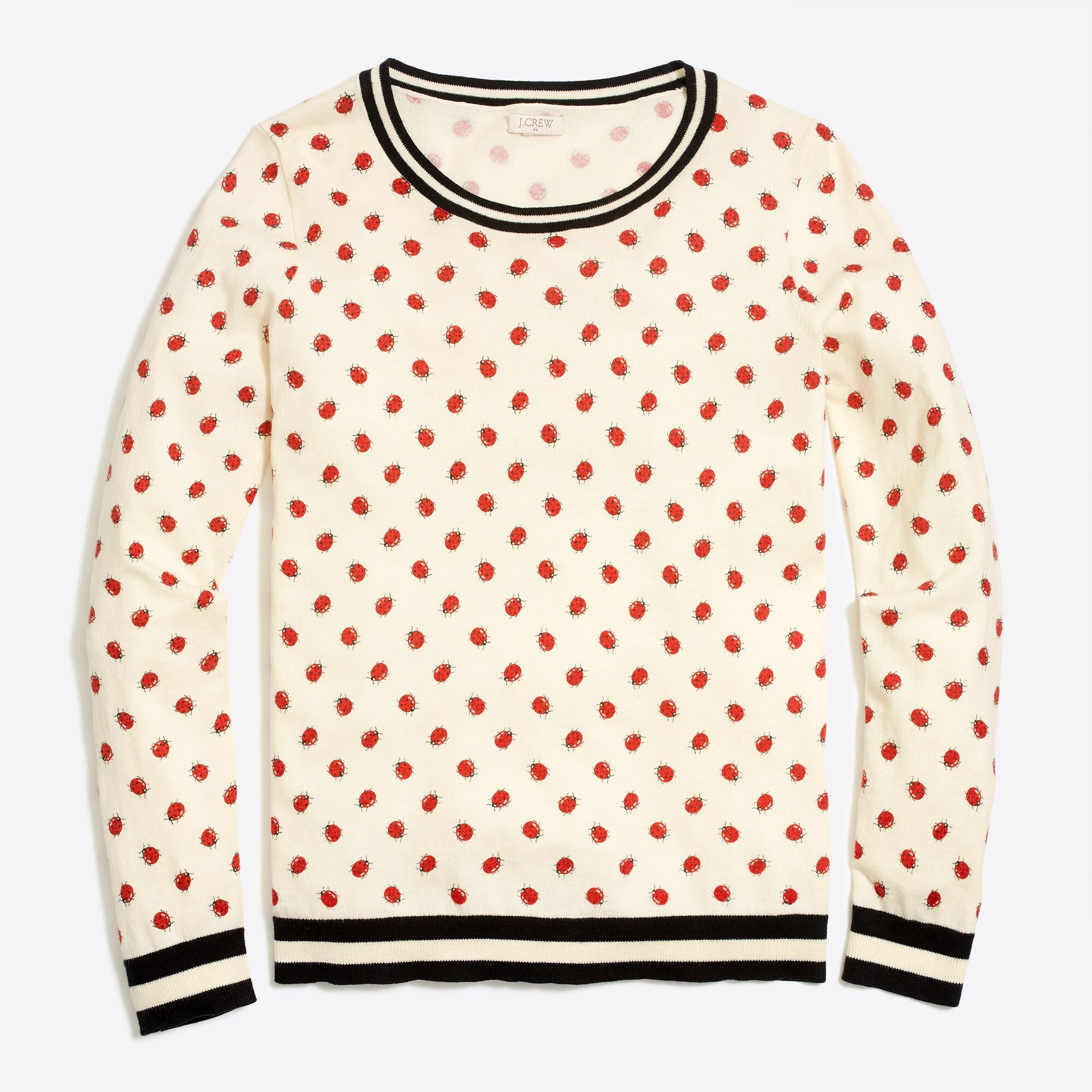 Lady bug Teddie sweater