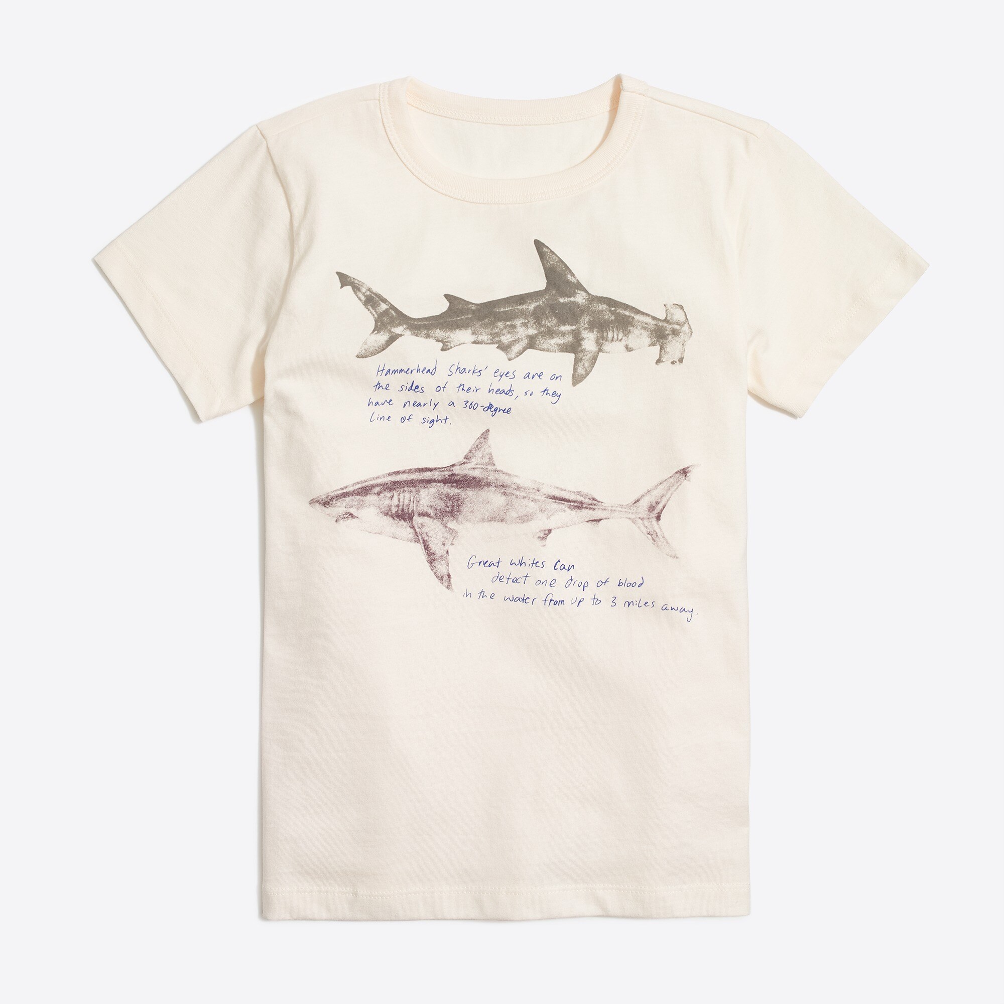 Boys' short sleeve shark graphic tee