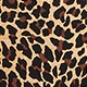 Sheath dress in leopard bi-stretch cotton LEOPARD j.crew: sheath dress in leopard bi-stretch cotton for women