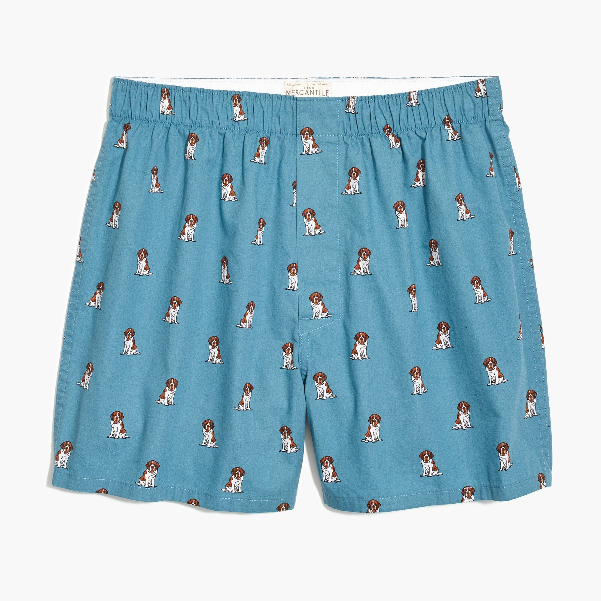 St. bernard boxers