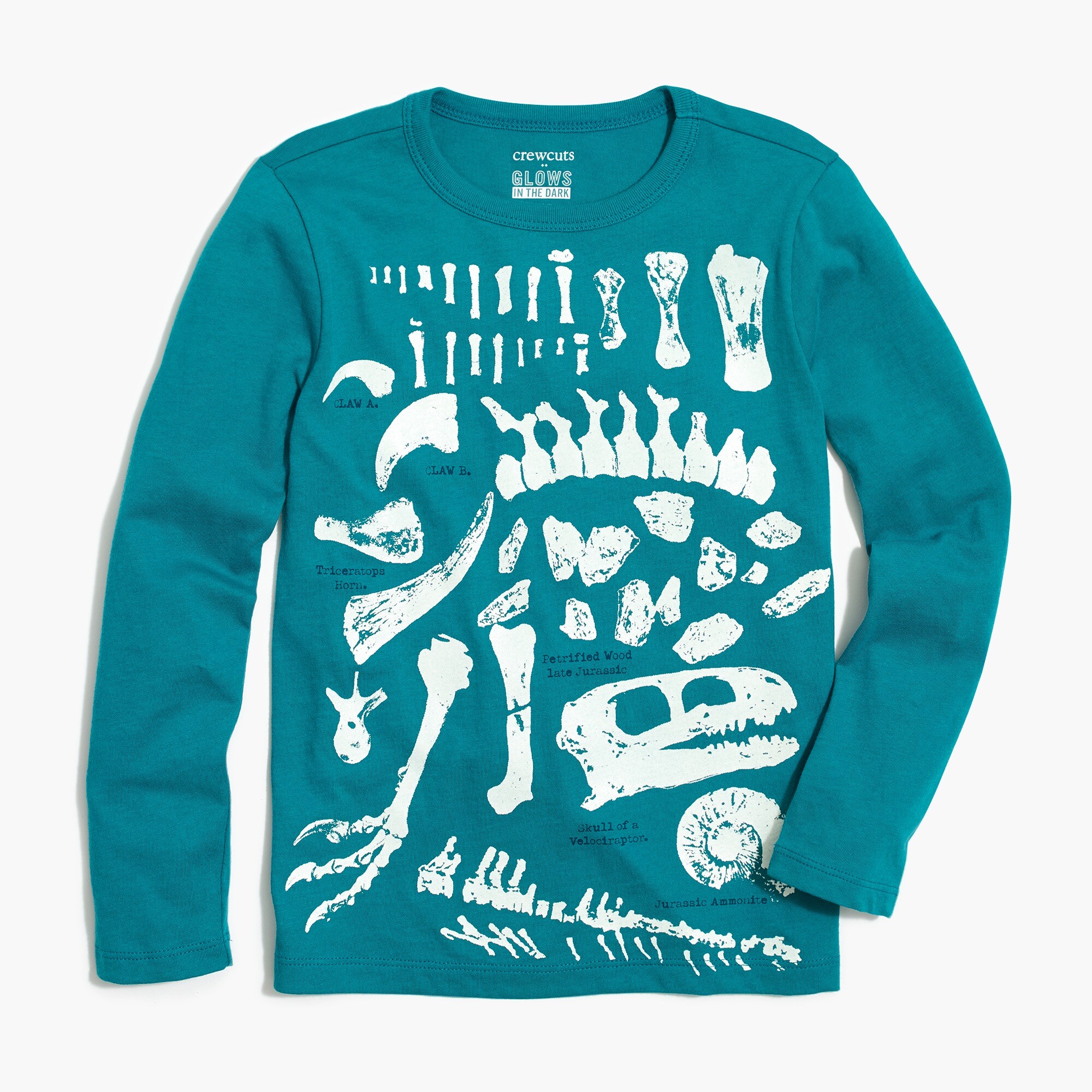 Boys' glow-in-the-dark dino skeleton graphic tee