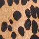 Sadie ankle boots in leopard calf hair SAHARA BROWN j.crew: sadie ankle boots in leopard calf hair for women