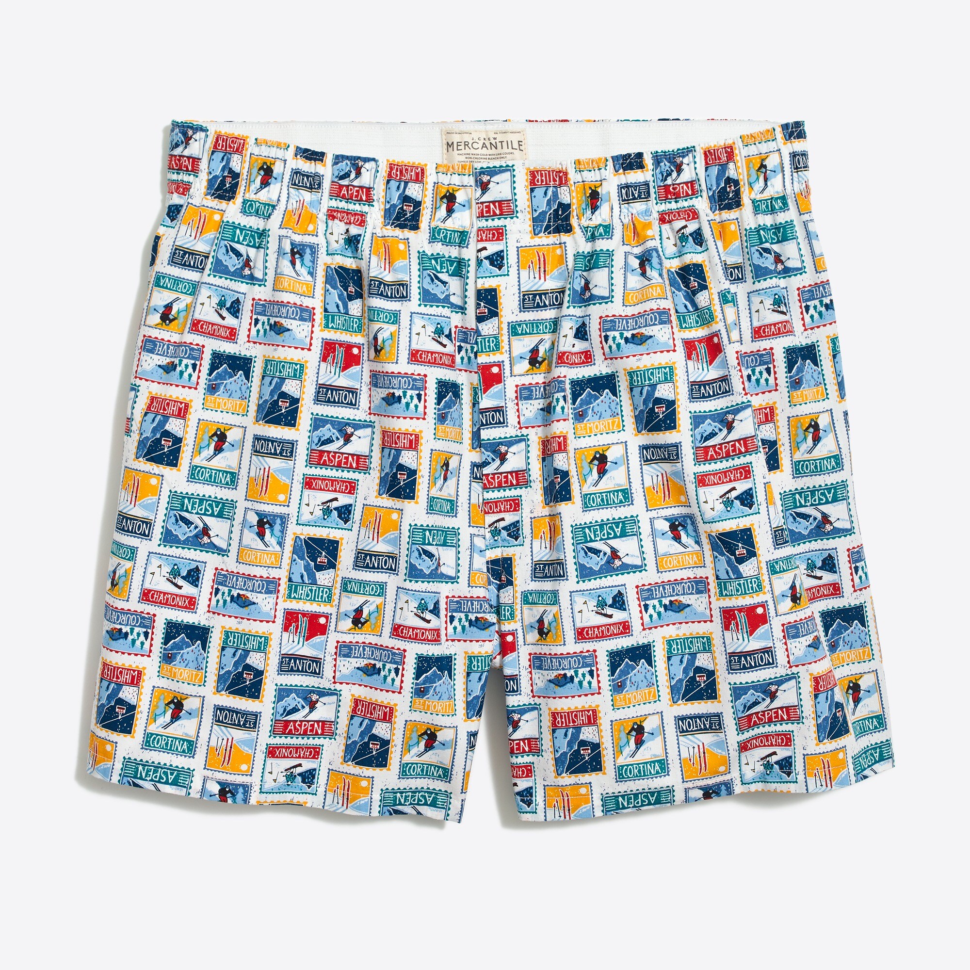 Boxer in ski print