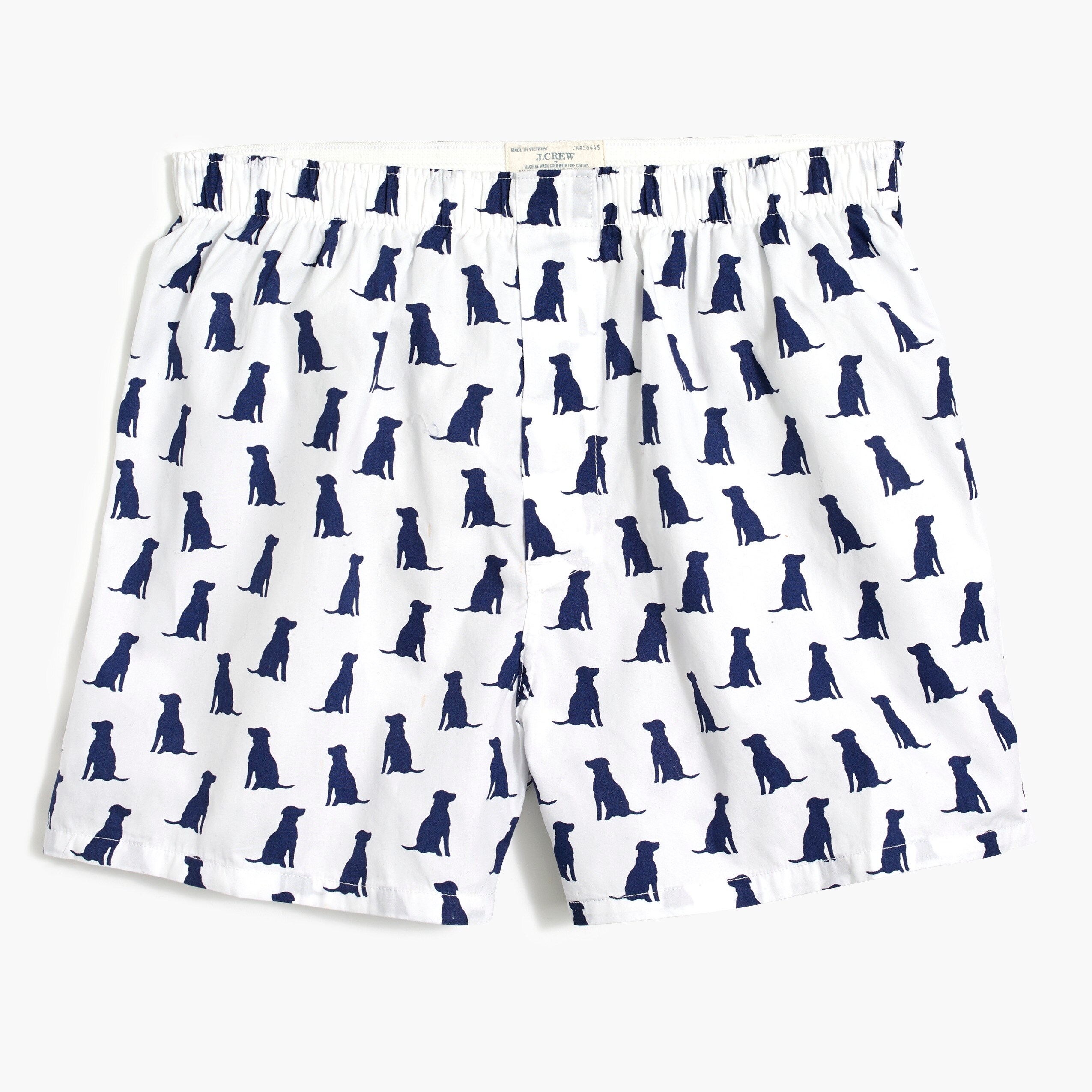 Boxer in Labrador print