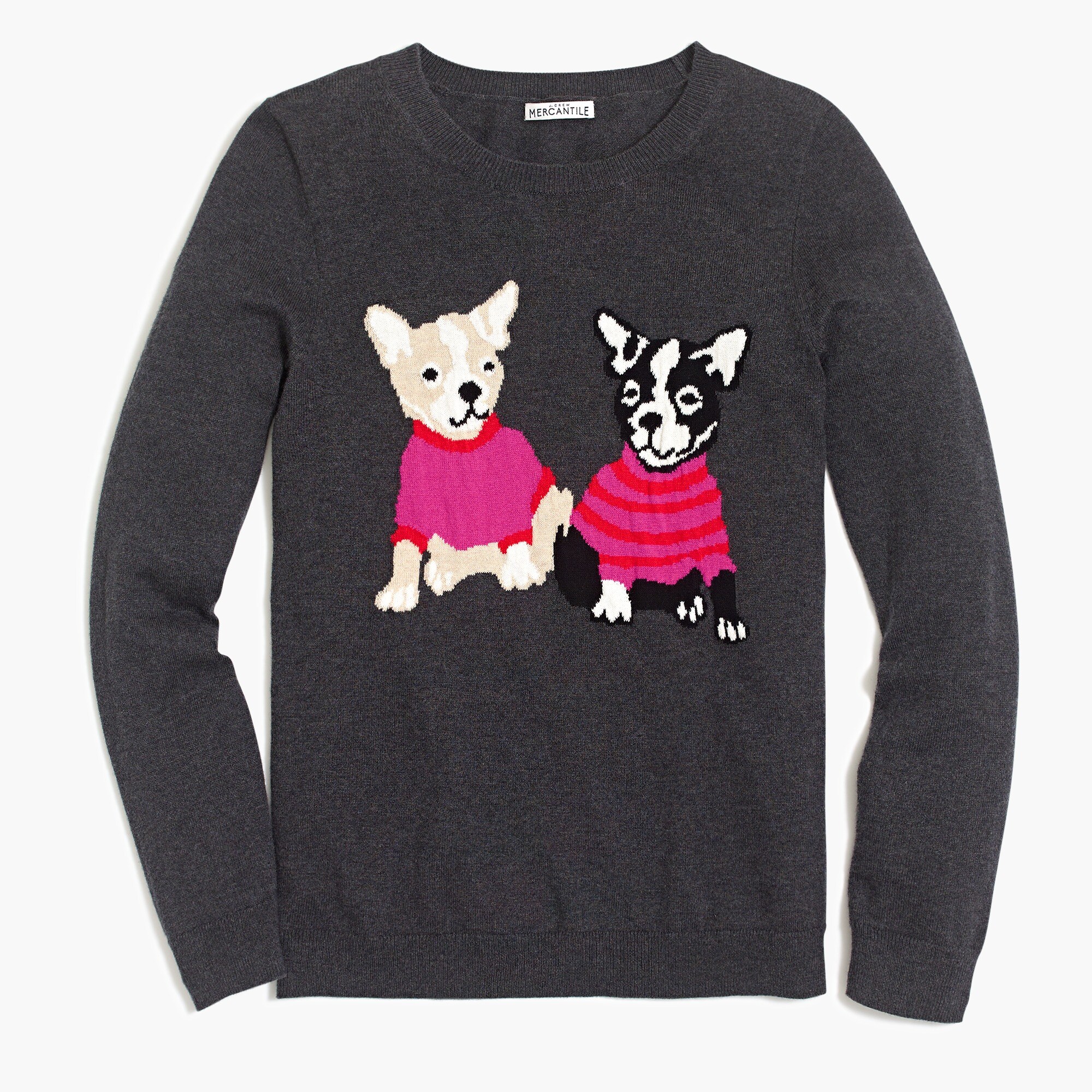 French bulldog Teddie sweater