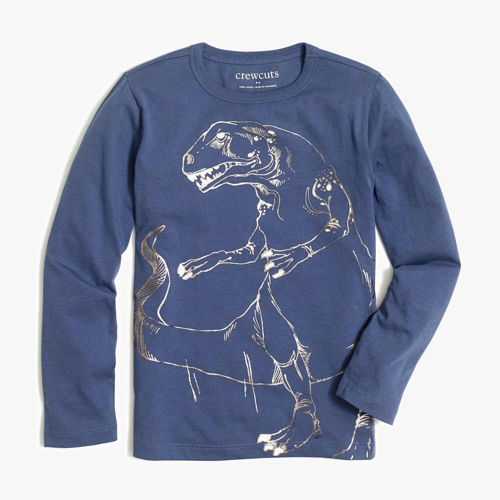 Boys' long sleeve dinosaur graphic tee