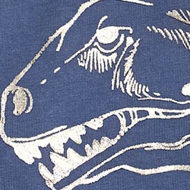 Boys' long sleeve dinosaur graphic tee DINO COOL SHADOW boys' long sleeve dinosaur graphic tee for boys