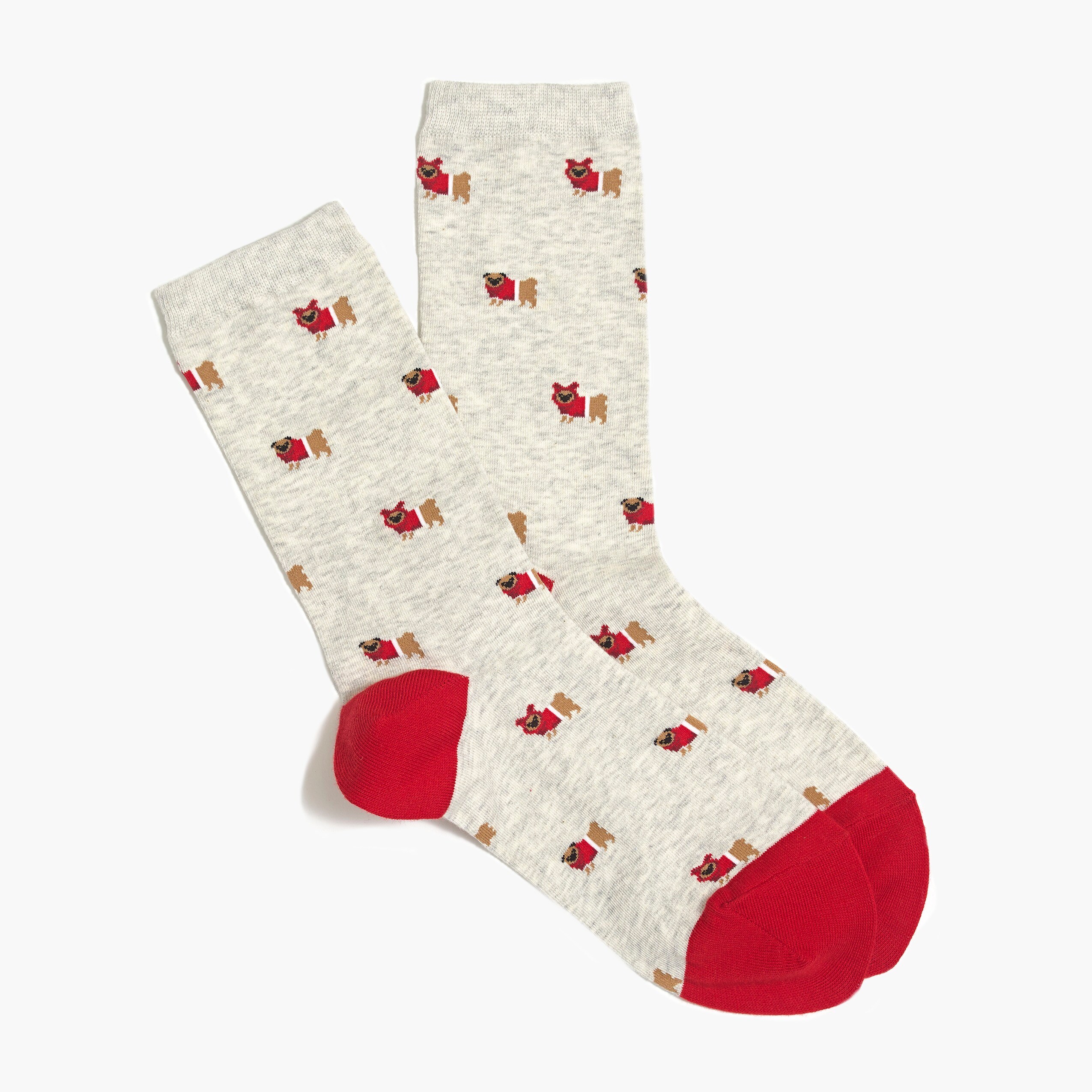 Dog in sweater trouser socks