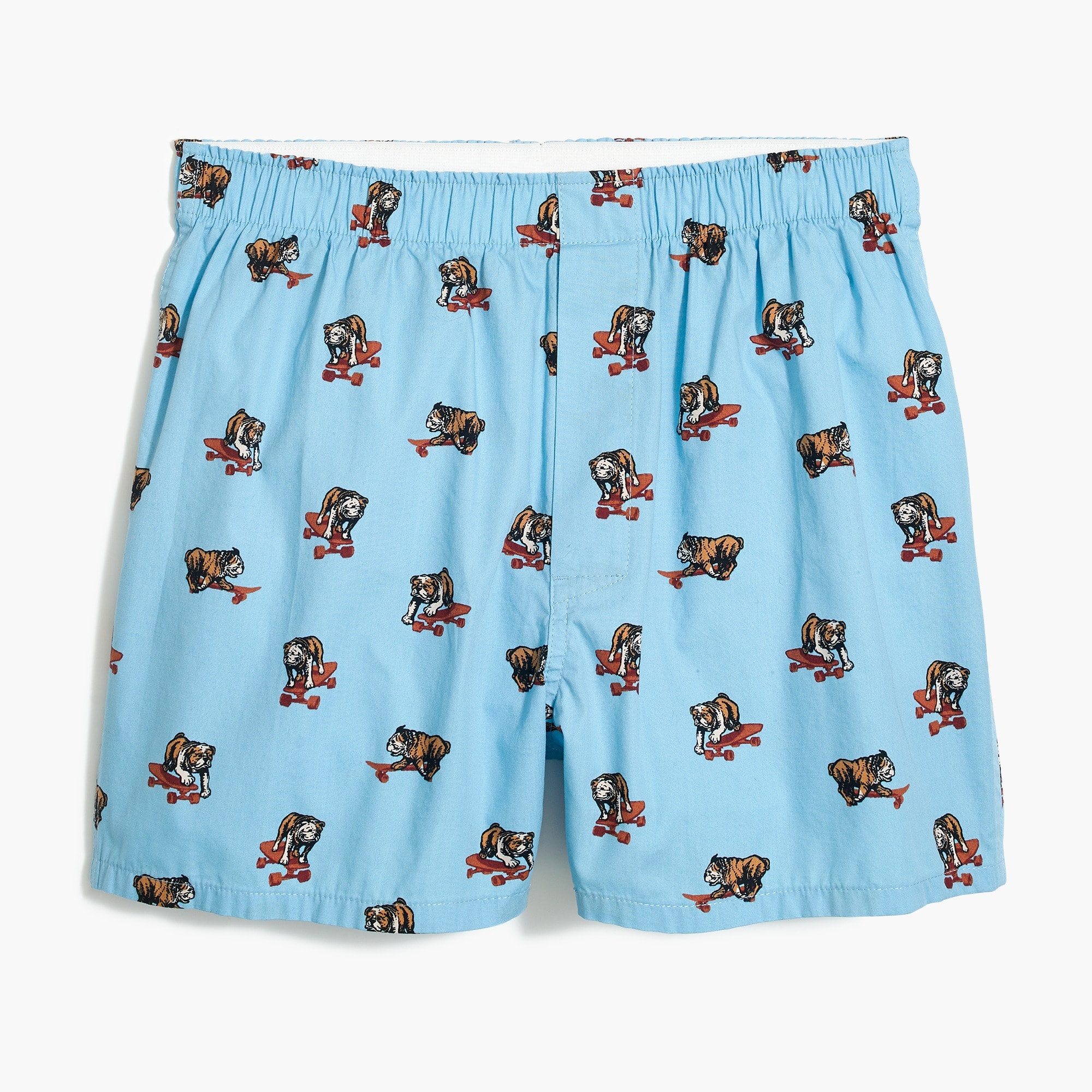 Bulldog boxers
