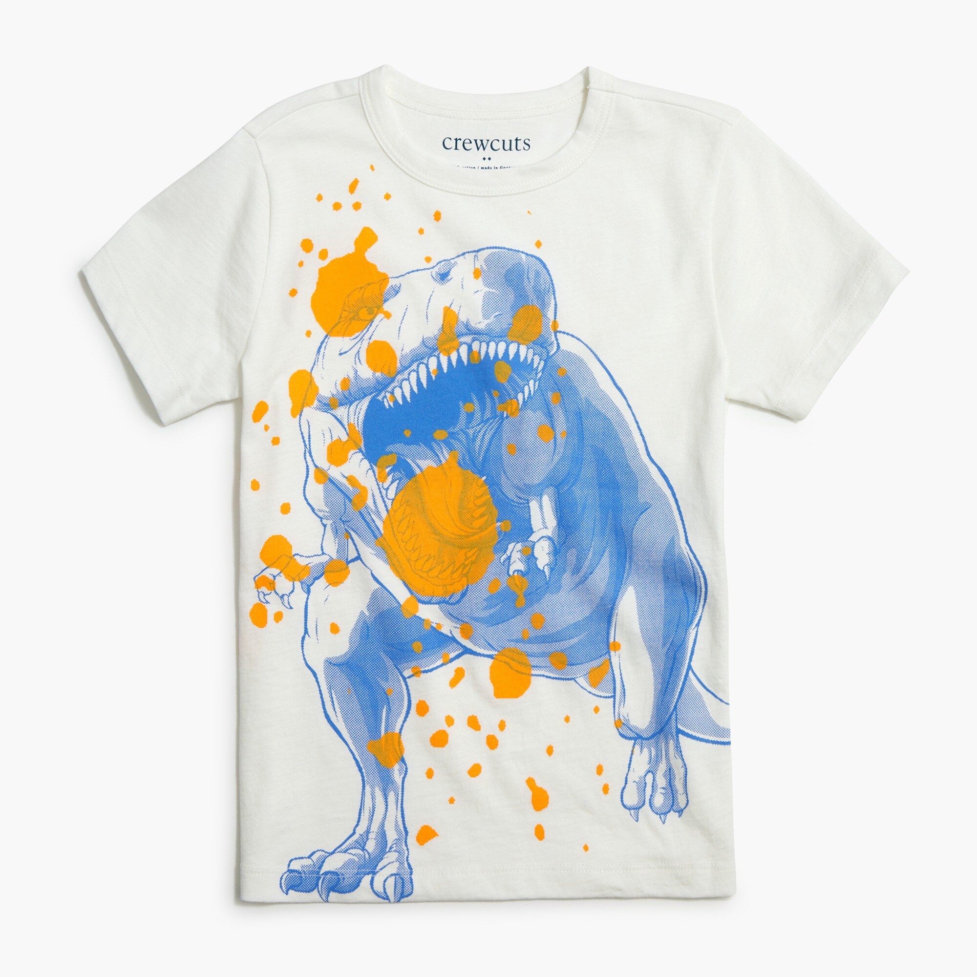 Boys' dinosaurgraphic tee