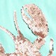 Girls' sequin lobster T-shirt SEQUIN LOBSTER j.crew: girls' sequin lobster t-shirt for girls
