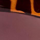 Out of office sunglasses NATURAL CERISE factory: out of office sunglasses for women