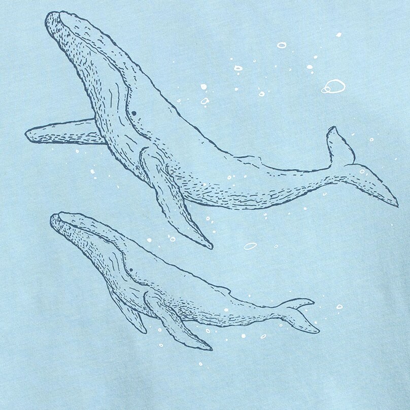 Whale graphic tee WHALES factory: whale graphic tee for men