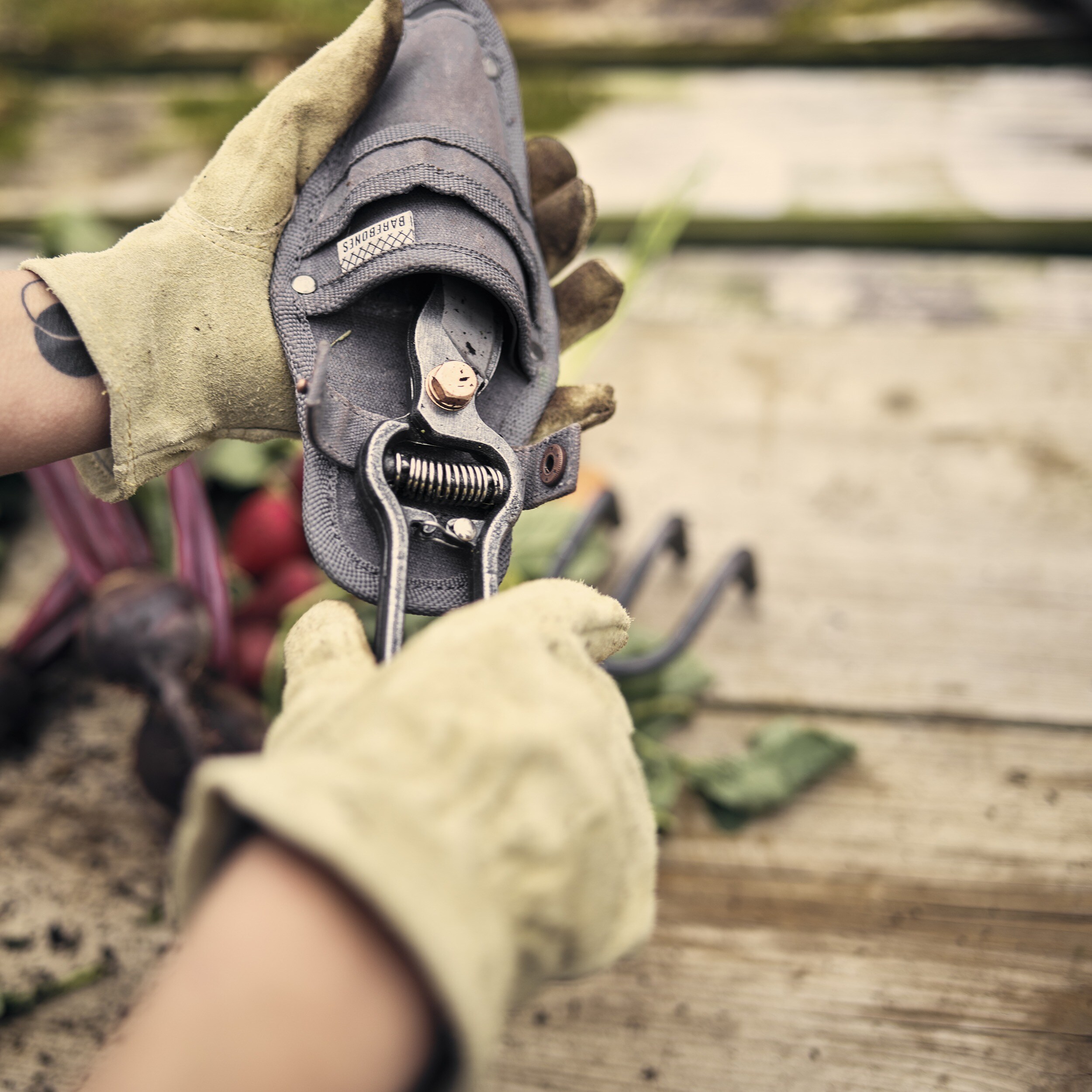 Barebones pruner & sheath