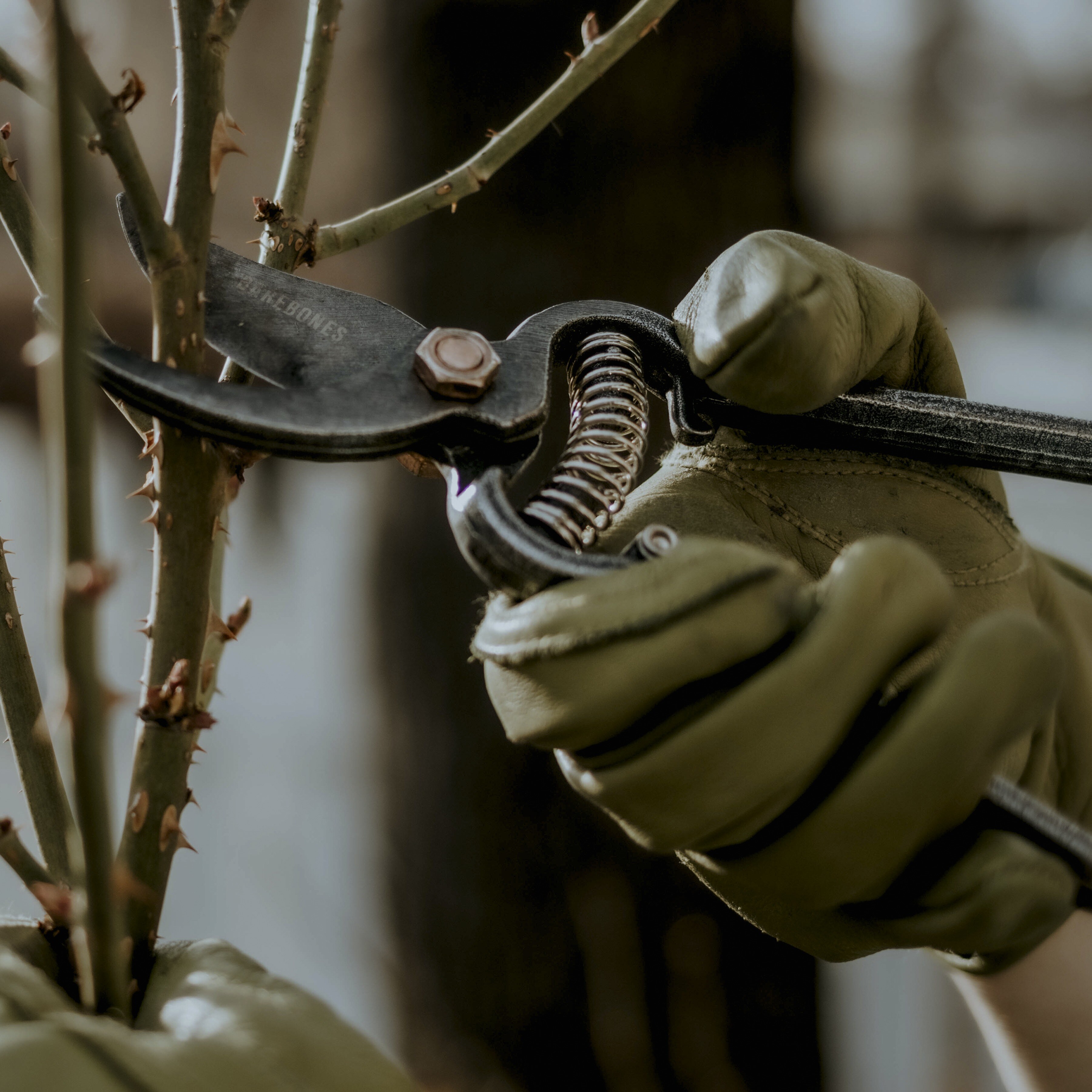 Barebones pruner & sheath