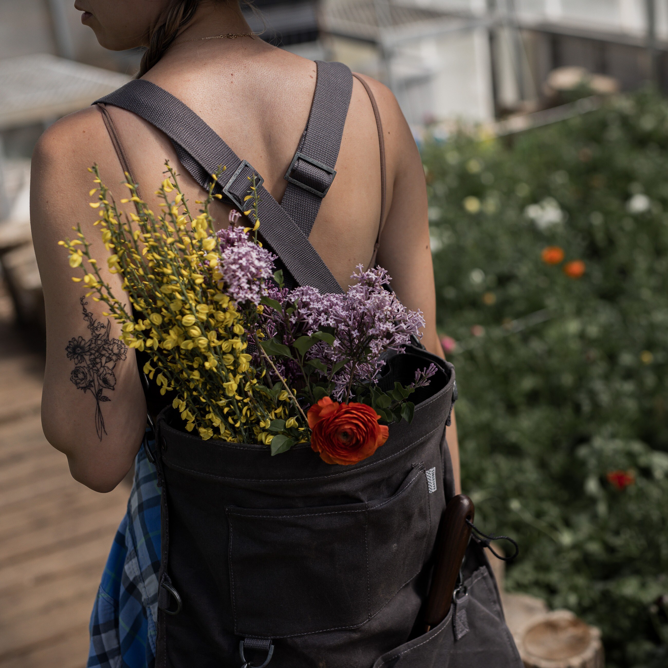Barebones gathering bag