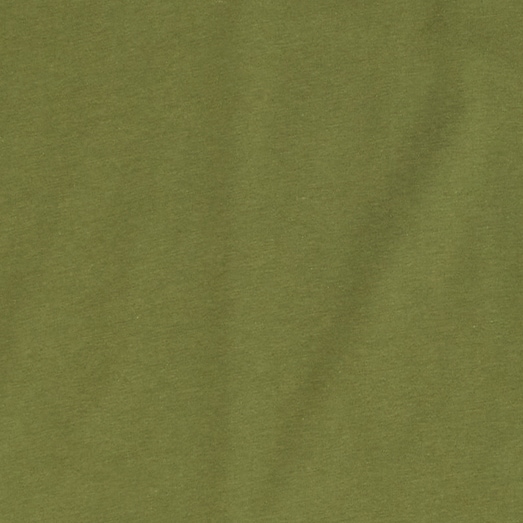 Druthers&trade; organic cotton T-shirt OLIVE