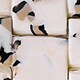 IVORY MULTI
