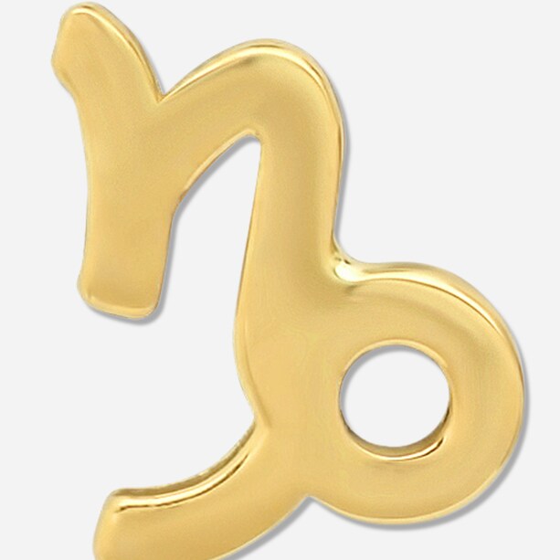 CAPRICORN
