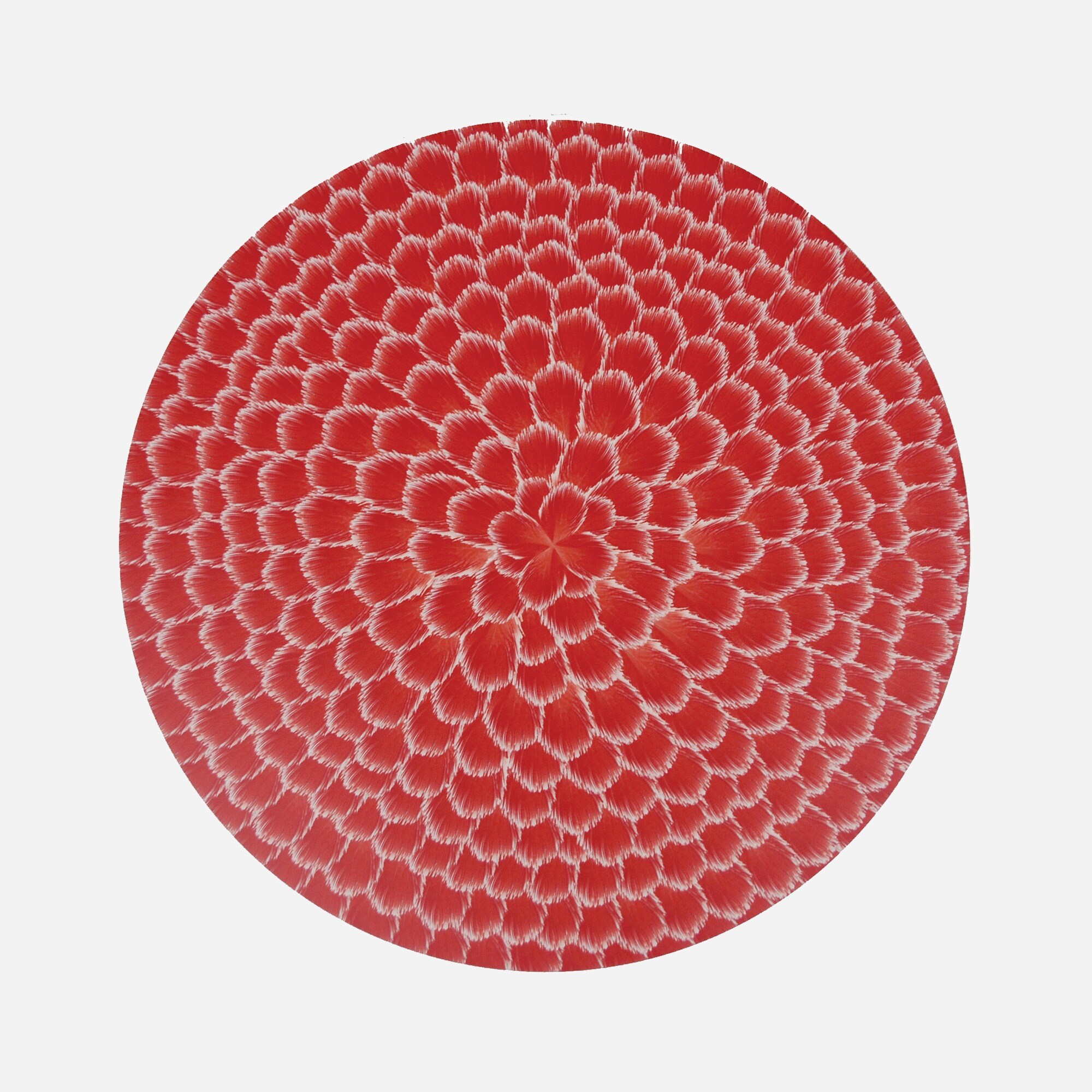 TISCH NEW YORK Lady Amherst feathers place mat