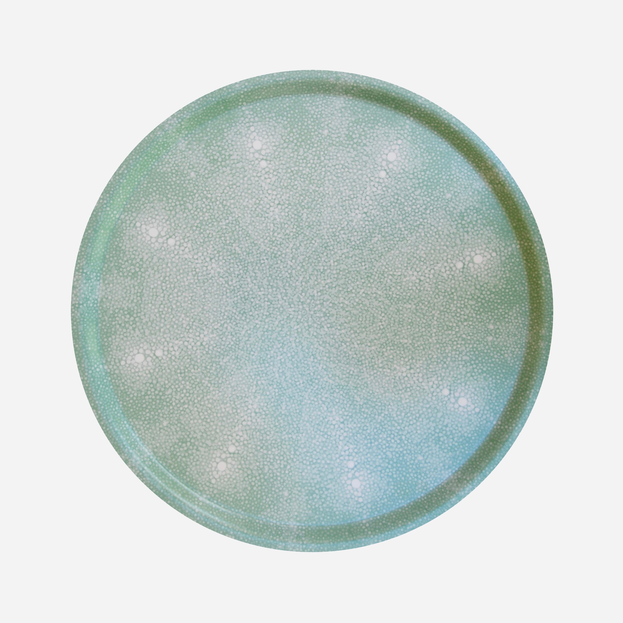 homes TISCH NEW YORK Atlantic coral tray 45