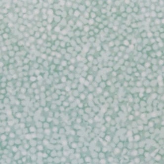 TISCH NEW YORK Atlantic coral tray 45 LIGHT GREEN
