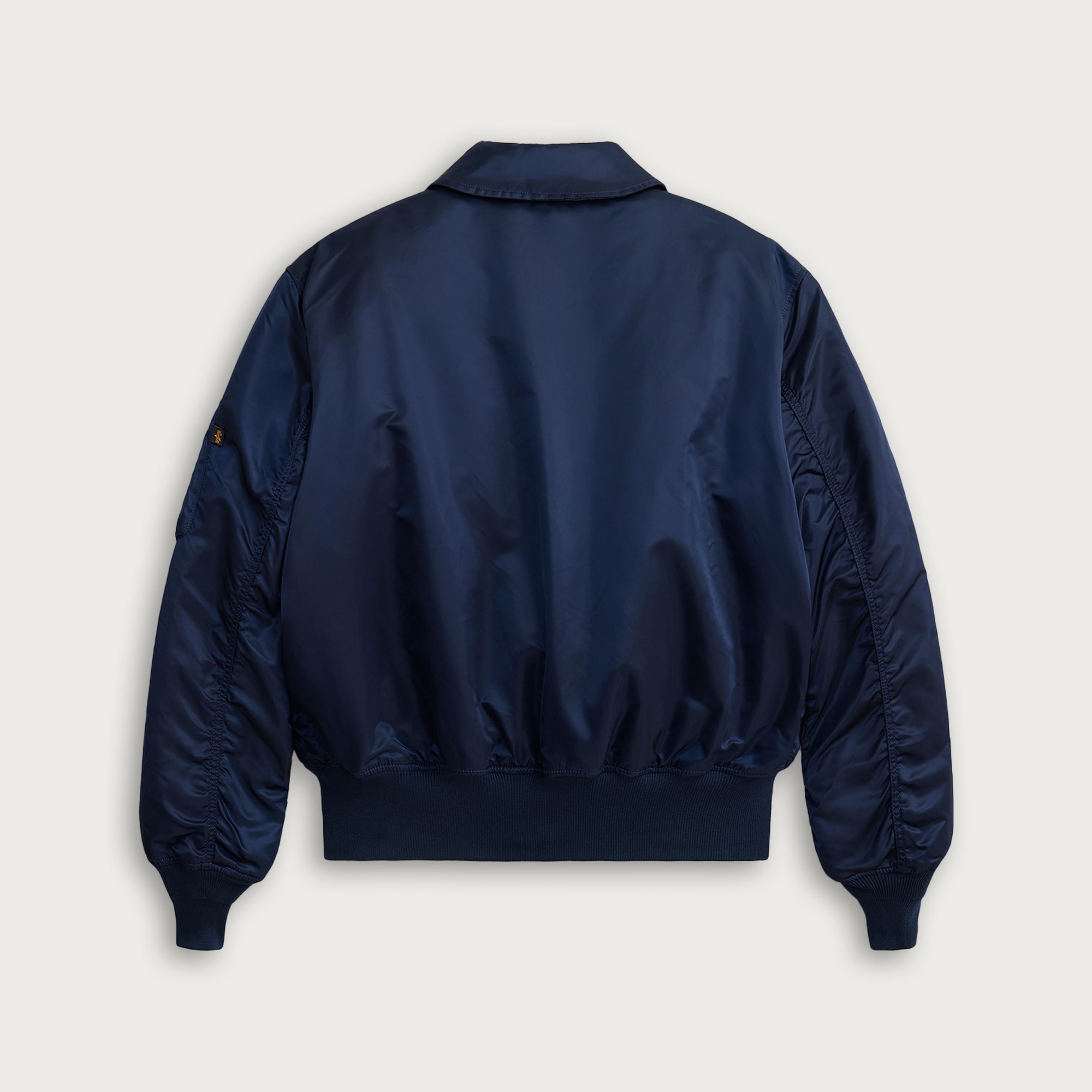 Men's Alpha Industries® CWU 45/P heritage bomber jacket
